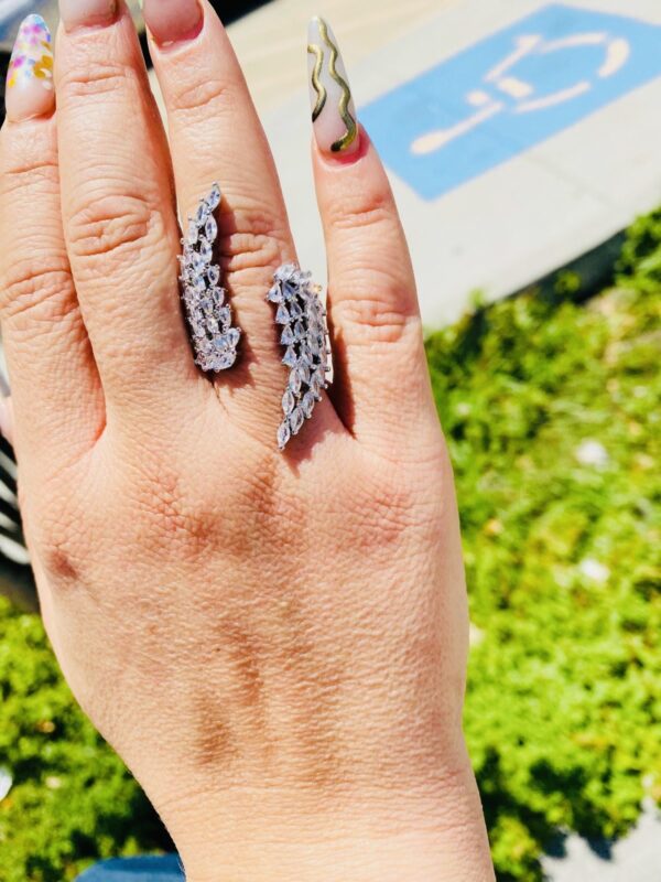 RiNG  ALAS INVERTIDAS